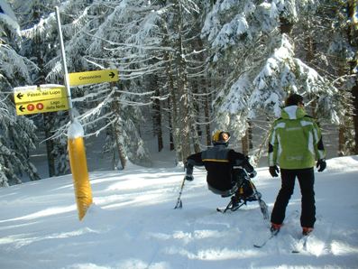 Sciatore_disabile_con_monosci